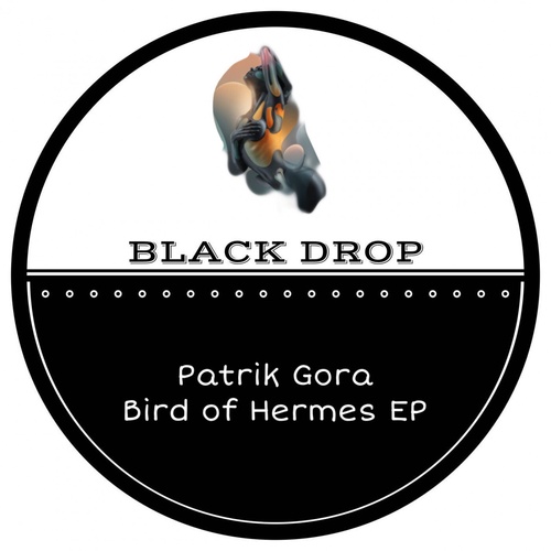 Patrik Gora - Bird of Hermes EP [BD308]